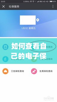 如何查看个人电子保险保单详情-图1