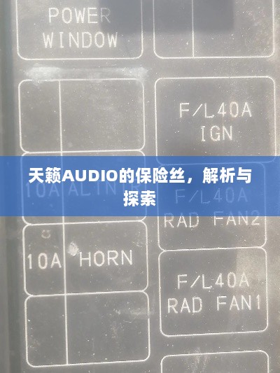 天籁AUDIO保险丝解析与探索-图1