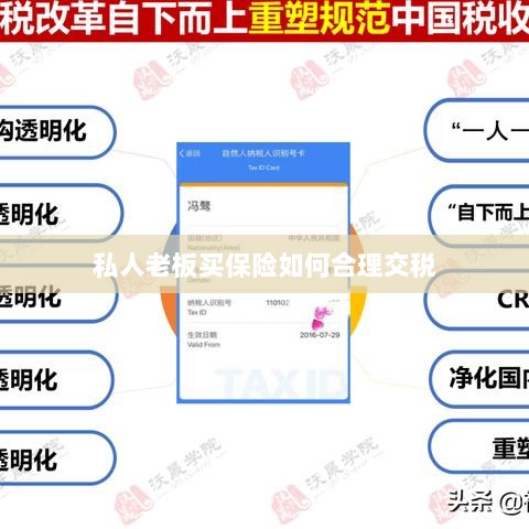 私人老板如何合理购买保险并交税指南-图1 私人老板如何合理购买保险并交税指南-图1