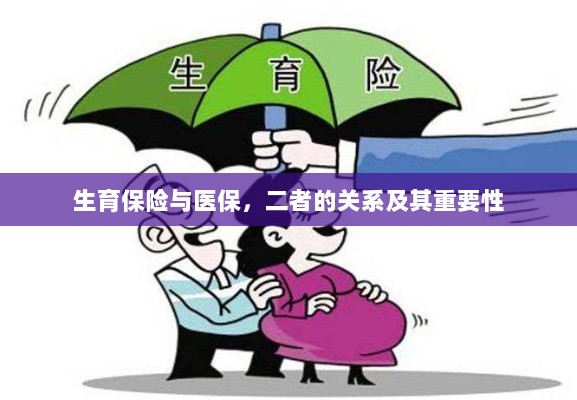 生育保险与医保，关系紧密，保障女性生育权益的重要性不言而喻-图1