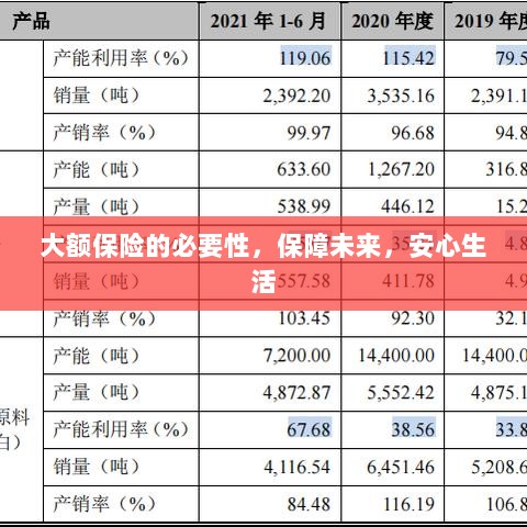 大额保险的必要性，守护未来，安心生活保障-图1