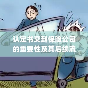 认定书对保险公司的重要性及后续流程详解-图1