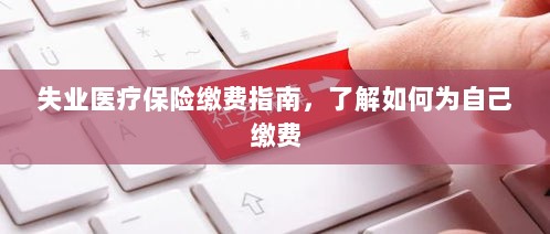 失业医疗保险缴费详解，如何为自己缴费的指南-图1