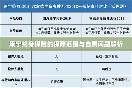 康宁终身保险保障范围及自费问题详解-图1