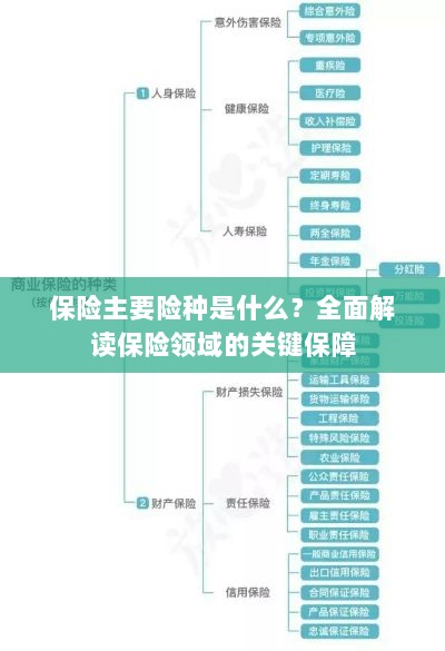 全面解读保险领域的关键保障，主要险种介绍与保障内容分析-图1