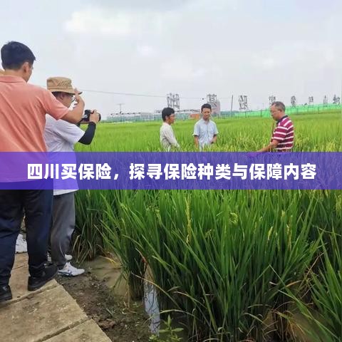 四川保险探秘，种类与保障内容全解析-图1
