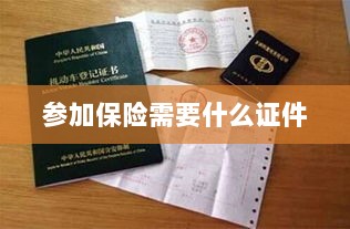 参加保险所需证件概览-图1