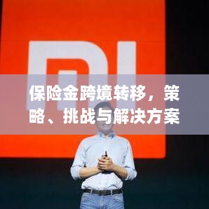 保险金跨境转移,策略、挑战及解决方案探讨-图1 保险金跨境转移,策略、挑战及解决方案探讨-图1