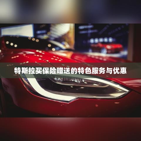 特斯拉保险特惠,买保险即享特色服务与优惠大礼包-图1 特斯拉保险特惠,买保险即享特色服务与优惠大礼包-图1