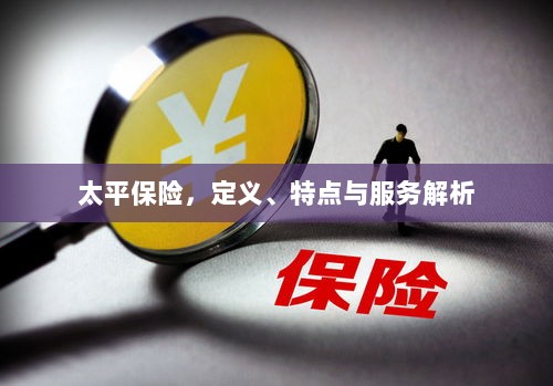 太平保险，定义、特色及服务详解-图1