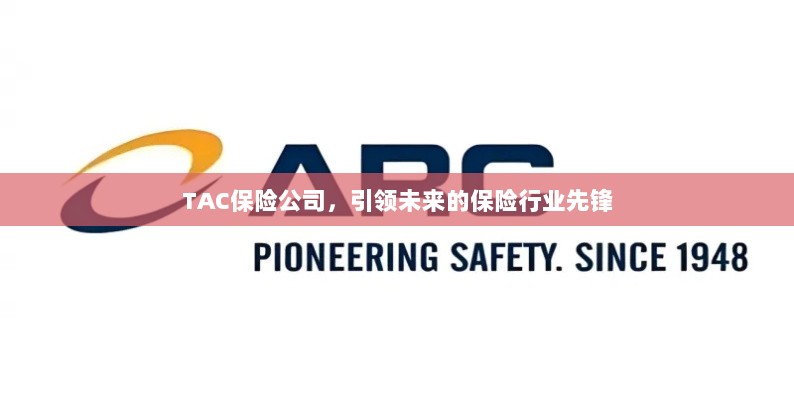 TAC保险公司，引领保险行业未来先锋-图1