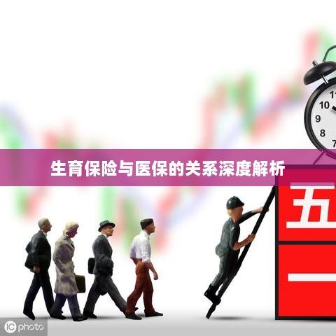 生育保险与医保关系的深度探讨-图1 生育保险与医保关系的深度探讨-图1