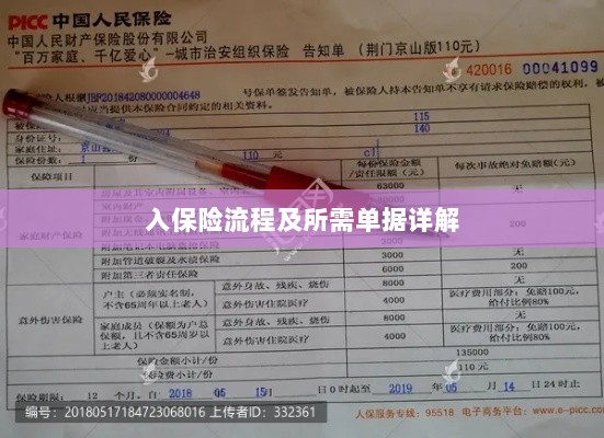 保险投保流程与所需单据全面解析-图1