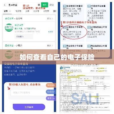 如何查看个人电子保险保单详情-图1 如何查看个人电子保险保单详情-图1