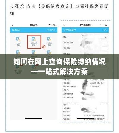 网上查询保险缴纳情况，一站式解决方案指南-图1