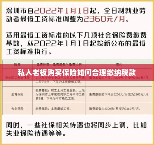 私人老板购买保险如何合理缴税,策略与指南-图1 私人老板购买保险如何合理缴税,策略与指南-图1