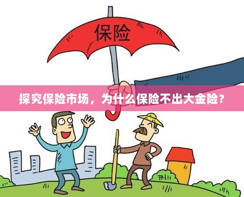 探究保险市场,为何缺乏大额保险金险种?-图1 探究保险市场,为何缺乏大额保险金险种?-图1
