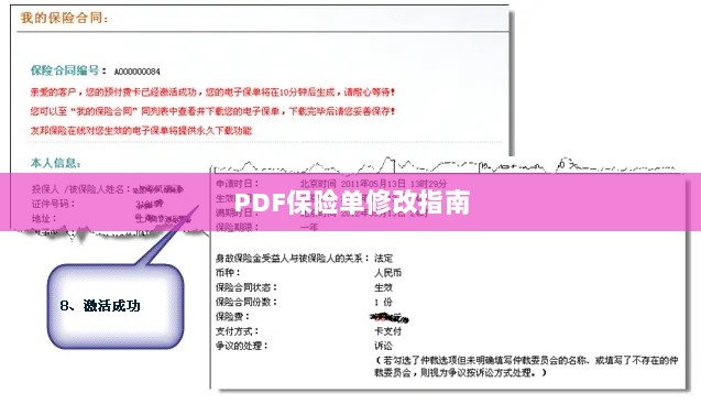 PDF保险单修改指南详解-图1 PDF保险单修改指南详解-图1