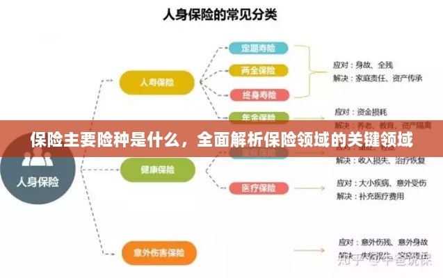 全面解析保险领域关键领域,主要险种介绍与概述-图1 全面解析保险领域关键领域,主要险种介绍与概述-图1