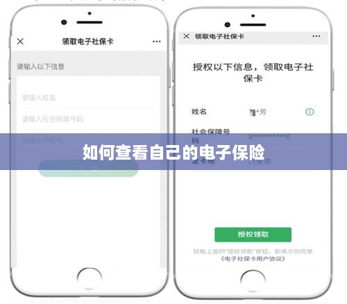 如何查看个人电子保险保单详情-图1 如何查看个人电子保险保单详情-图1