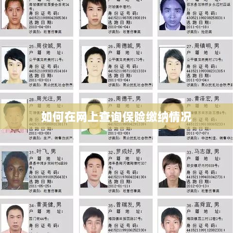 网上查询保险缴纳情况攻略-图1 网上查询保险缴纳情况攻略-图1