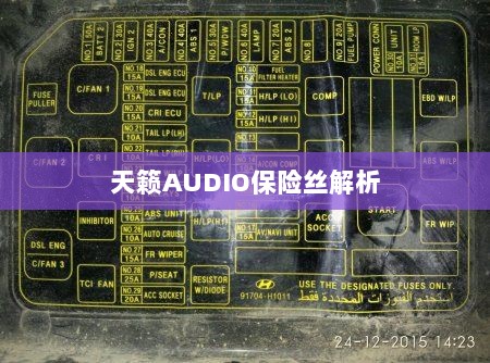 天籁AUDIO保险丝详解-图1