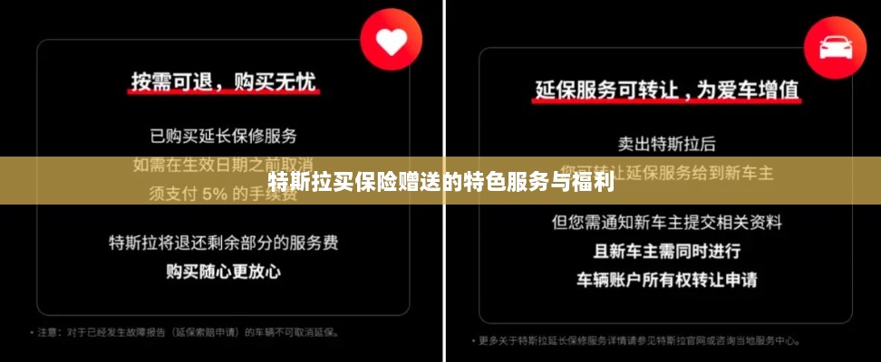 特斯拉保险特惠,独家特色服务与丰厚赠品等你来享-图1 特斯拉保险特惠,独家特色服务与丰厚赠品等你来享-图1