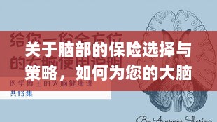如何选择合适的脑部保险,为您的大脑保驾护航?-图1 如何选择合适的脑部保险,为您的大脑保驾护航?-图1