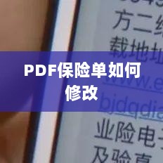PDF保险单修改指南-图1