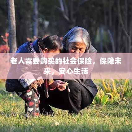 老人社会保险，保障未来，安心生活-图1