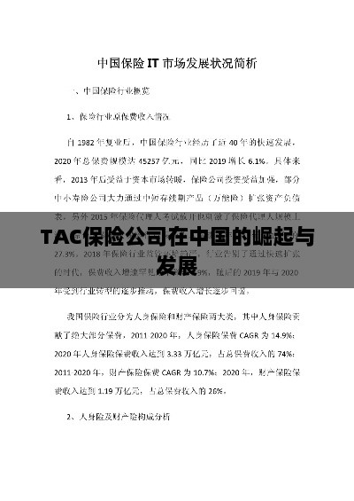 TAC保险公司在中国的崛起与蓬勃发展之路-图1