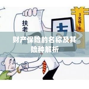 财产保险名称及险种深度解析-图1 财产保险名称及险种深度解析-图1