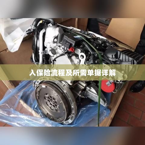 保险投保流程与所需单据全面解析-图1