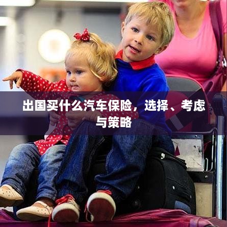 出国购车保险指南，选择、考虑与策略全解析-图1