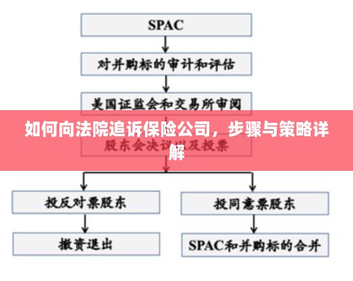 如何向法院追诉保险公司，详细步骤与策略指南-图1