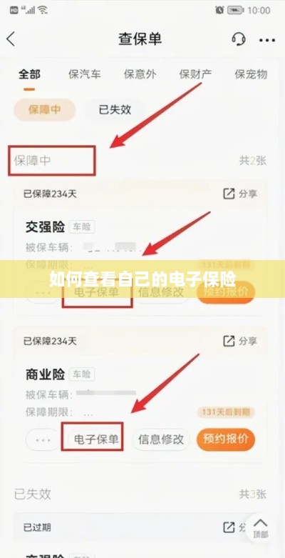 如何查看个人电子保险保单详情-图1