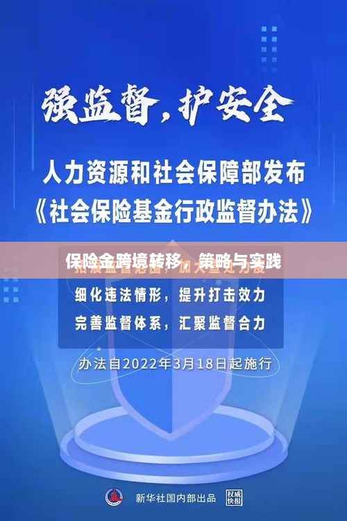 保险金跨境转移的策略与实践探讨-图1 保险金跨境转移的策略与实践探讨-图1