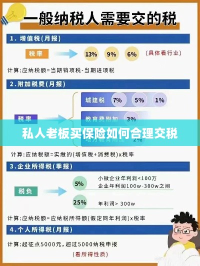 私人老板如何合理购买保险并交税指南-图1