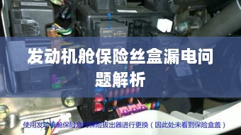 发动机舱保险丝盒漏电问题深度解析-图1 发动机舱保险丝盒漏电问题深度解析-图1