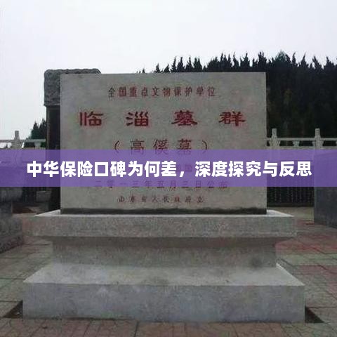 中华保险口碑深度探究与反思，原因何在？-图1