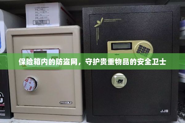 保险箱内防盗网,守护贵重物品的安全屏障-图1 保险箱内防盗网,守护贵重物品的安全屏障-图1