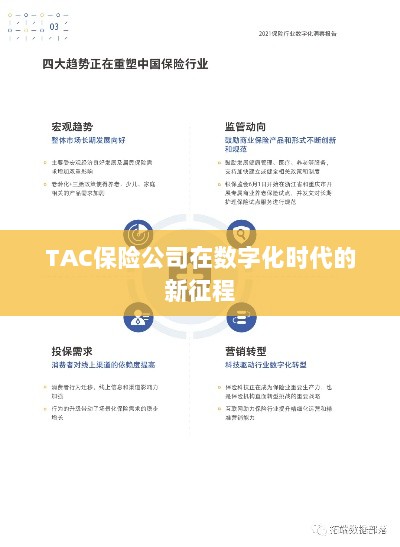 TAC保险公司在数字化时代的新征程启航-图1
