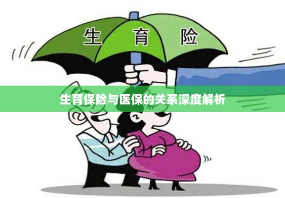 生育保险与医保关系的深度探讨-图1