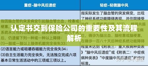 认定书交到保险公司的流程解析与重要性探讨-图1