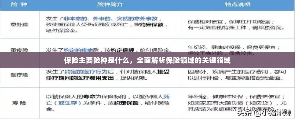 全面解析保险领域关键领域，主要险种介绍与概述-图1