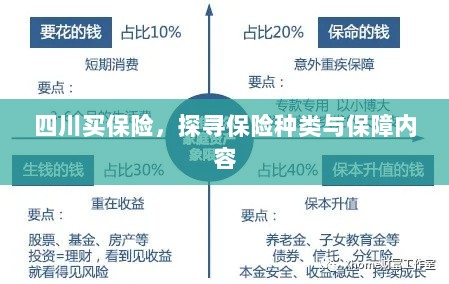四川保险探秘，种类与保障内容全解析-图1