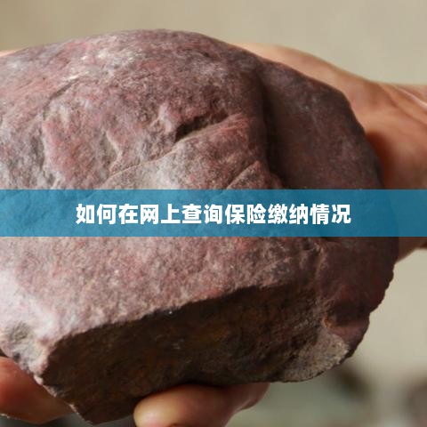 网上查询保险缴纳情况攻略-图1
