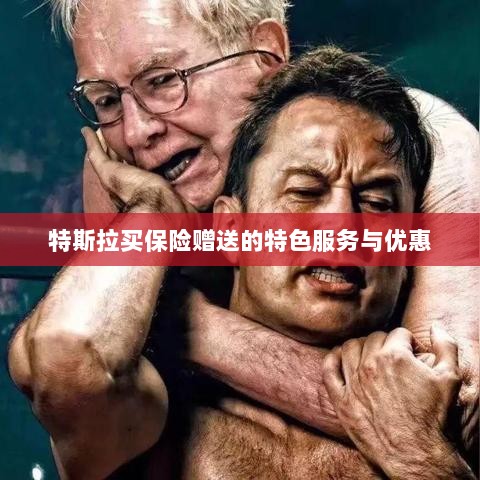 特斯拉保险特惠,买保险即享特色服务与优惠大礼包-图1 特斯拉保险特惠,买保险即享特色服务与优惠大礼包-图1