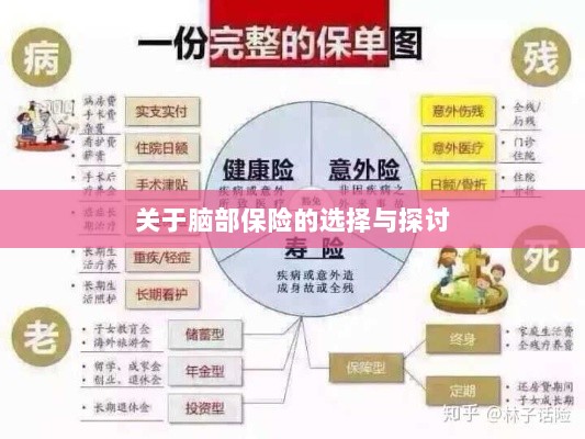 脑部保险的选择与探讨指南-图1