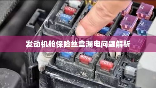 发动机舱保险丝盒漏电问题深度解析-图1 发动机舱保险丝盒漏电问题深度解析-图1